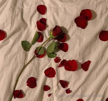 luci celadine_ onlyfans pics