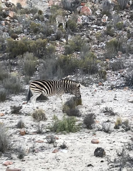 jimnewmannyc xxx onlyfans