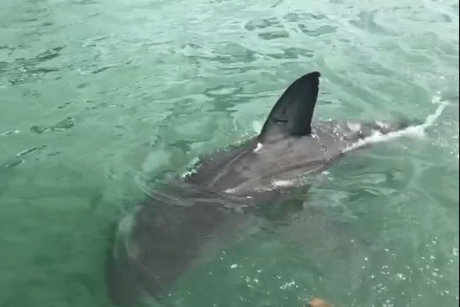 jimnewmannyc onlyfans leaks porn