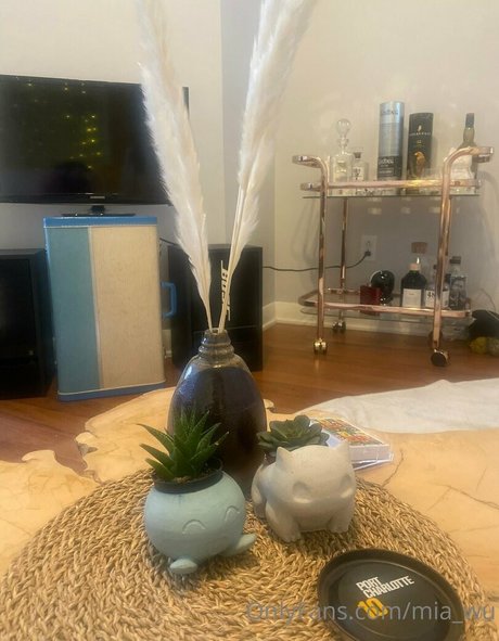 mia wu only fans nudes