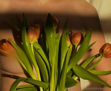 xxtinybeaxx onlyfans images