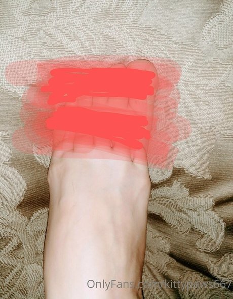 kittypaws667 onlyfans nude porn