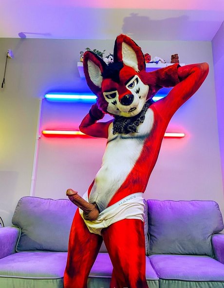 wolf ezo leaks only fans