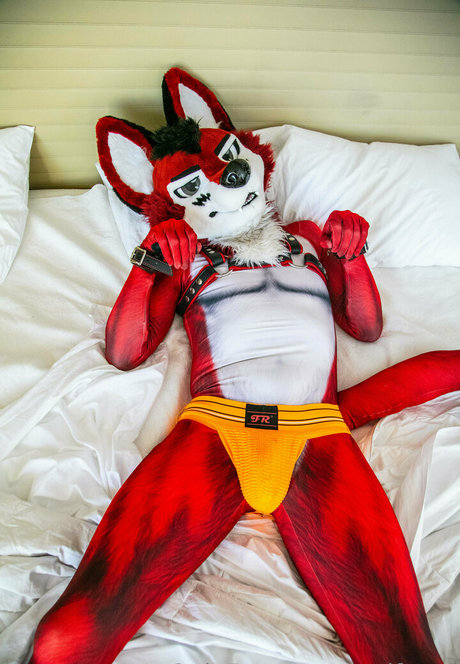 wolf ezo onlyfans photo