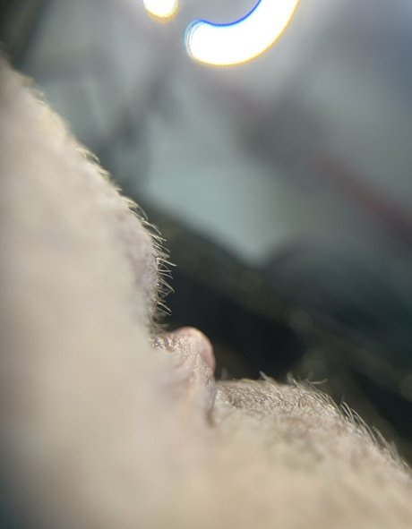 bigbadbee onlyfans leaked dirtyship