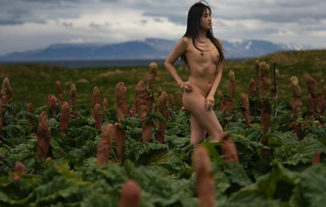 Stephanie Pham onlyfans leaks sex