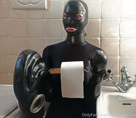 collaredfeline onlyfans content