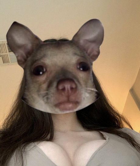 notsofiacoppola  plate