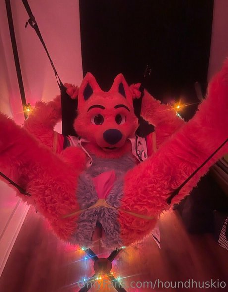 houndhuskio leaked only fans porn