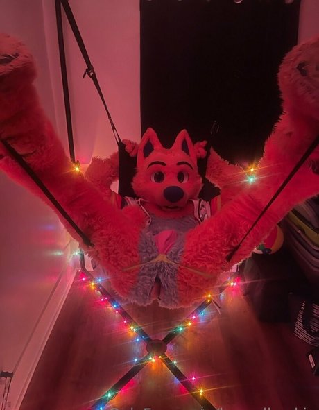 houndhuskio onlyfans porn leak