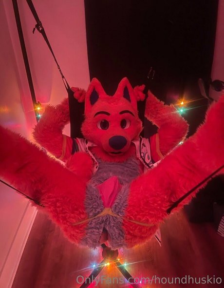 houndhuskio onlyfans free