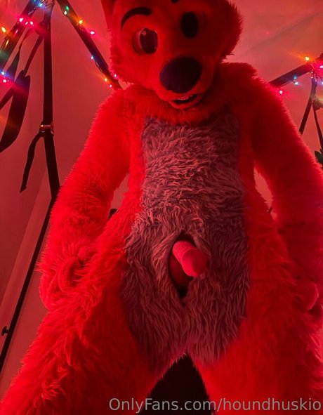 houndhuskio onlyfans fotos