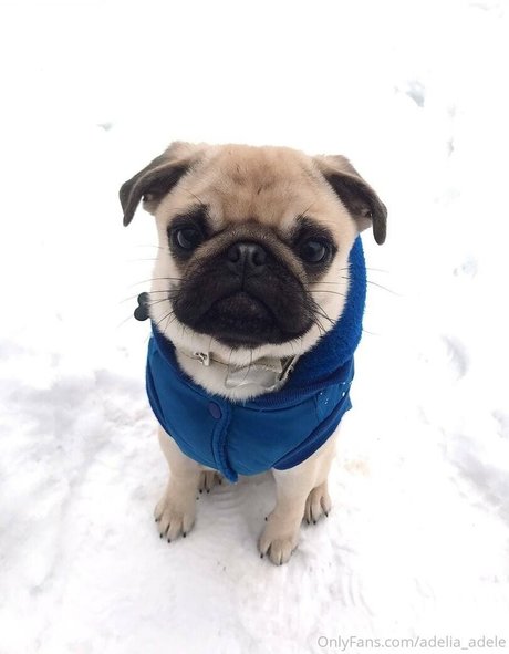 adelia adele new leaked onlyfans