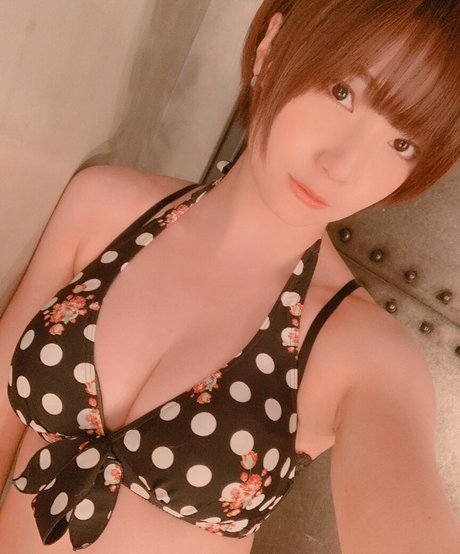 ayame apricot  glimpse