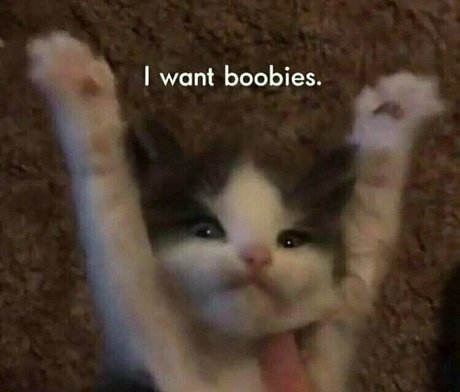 beatskins onlyfans leaks