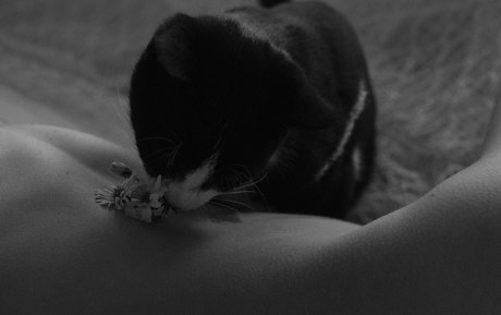 liqweedacid onlyfans desnuda