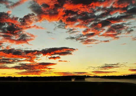 nicebassblondie onlyfans porno