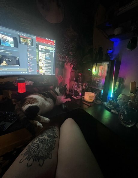 Kitty Titty onlyfans full