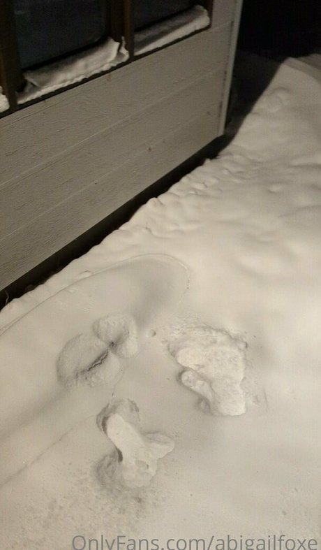 abigailfoxe only fans