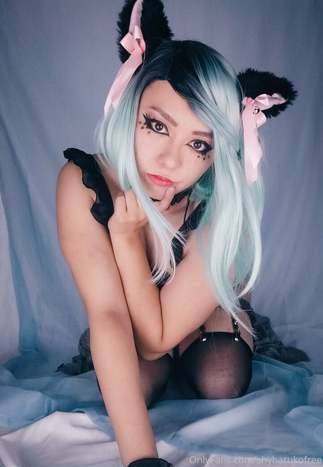 shyharukofree onlyfans model