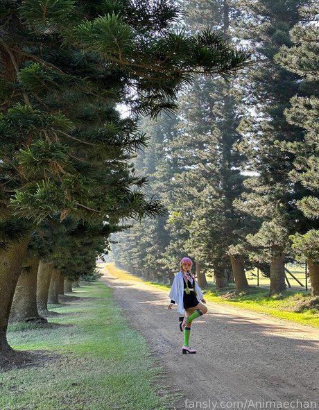 Animaechan is on onlyfans