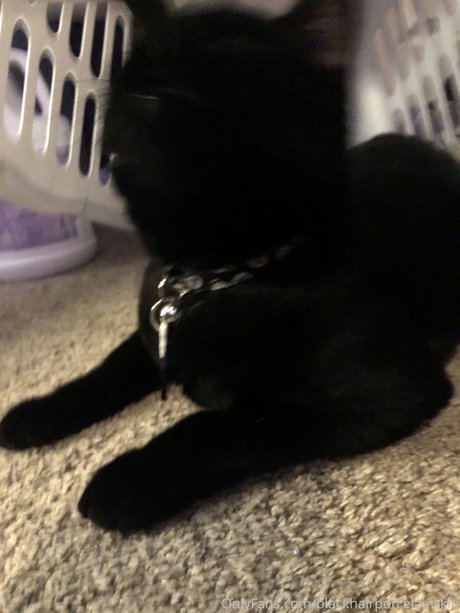 Dallee xxx only fans