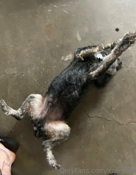 Xzanthia leaked onlyfans nude