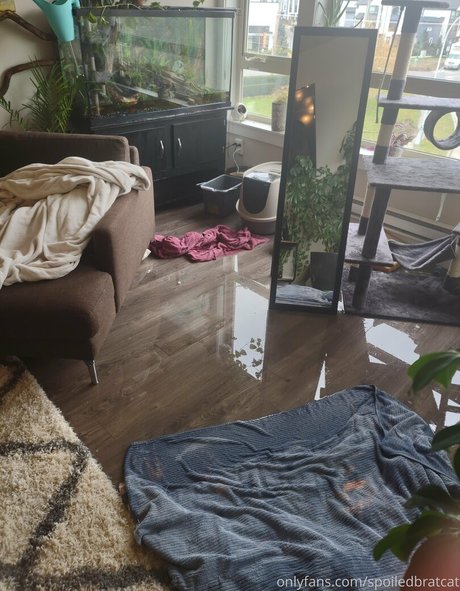 Spoiledbratcat onlyfans leak ass