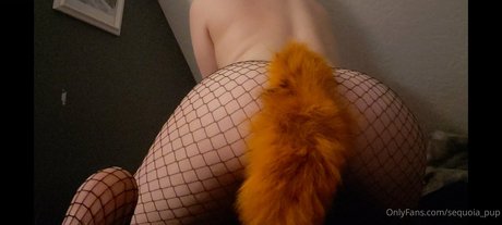 sequoia pup nsfw onlyfans