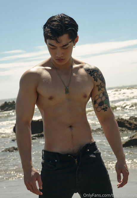 thetcornervn leaked onlyfans nude