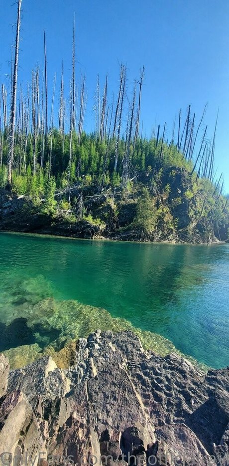 theofficialraybaby onlyfans leaks free