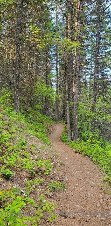 theofficialraybaby onlyfans archive