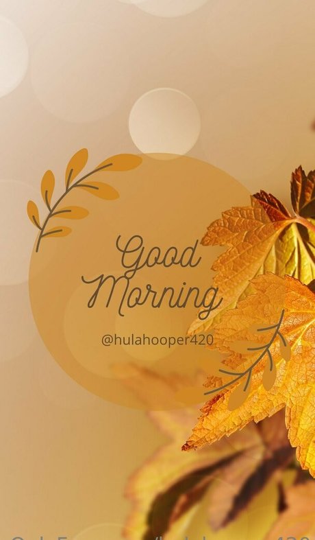 hulahooper420 leaks onlyfans