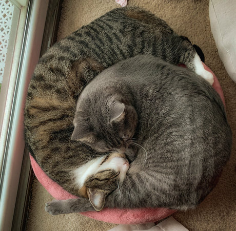 jadeleigh onlyfans nude pictures