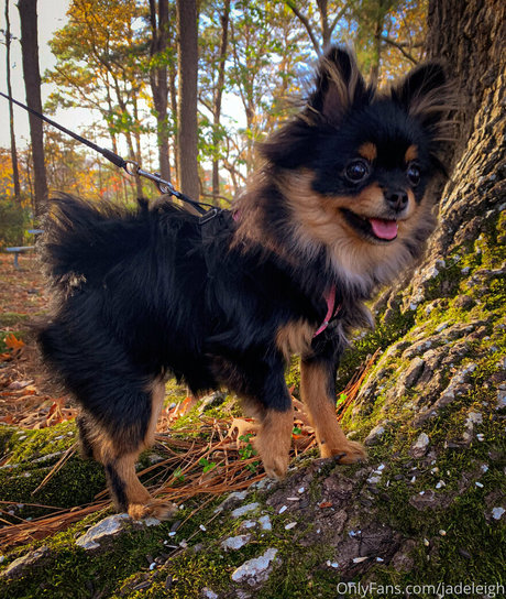 jadeleigh only fans leak porn