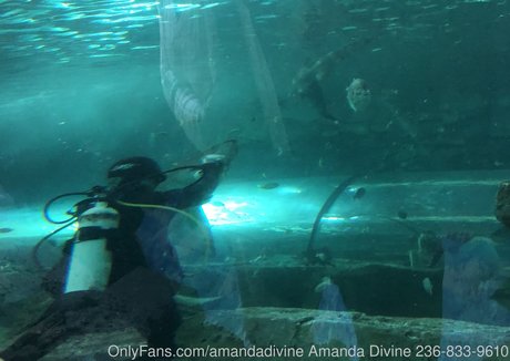 amandadivine naked onlyfans pics