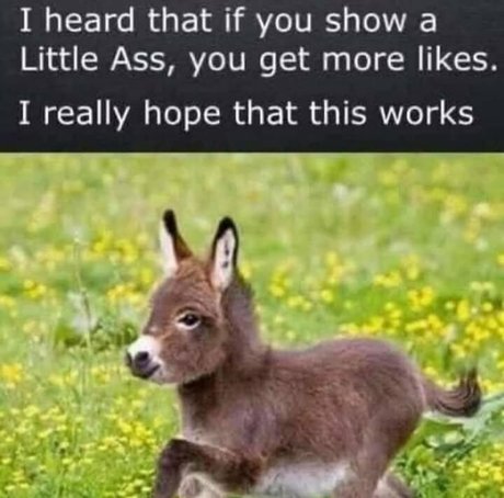 beersoakedangel02 leaked onlyfans photos