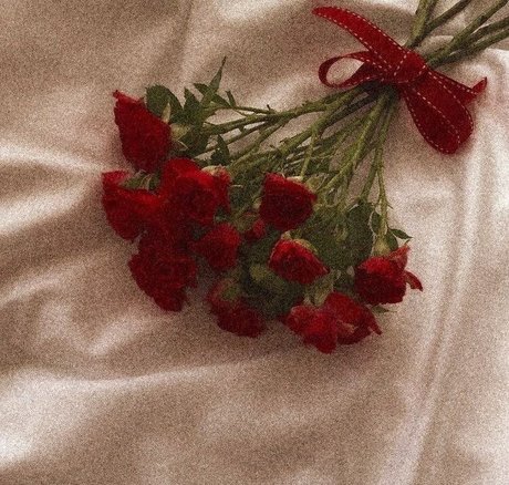 Merxoxo nude only fans leaks