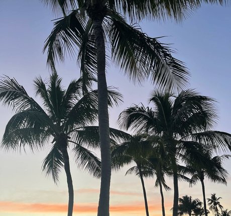 Leslie Sanchez leaked onlyfans xxx