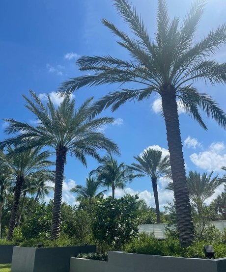 Leslie Sanchez onlyfans ass