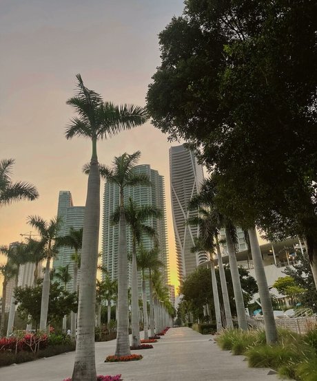 Leslie Sanchez porn only fans