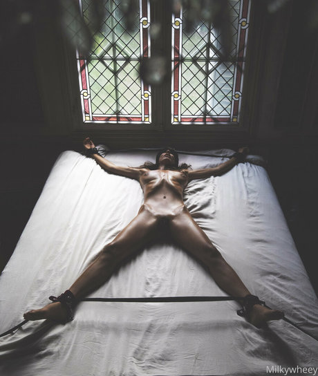 ohhmilky onlyfans leak sex