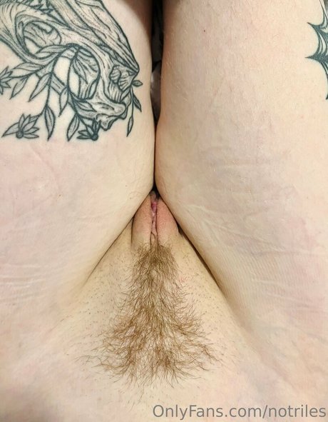 notriles onlyfans porn free