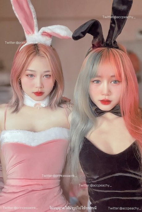 Princesswinkonly onlyfans leaks