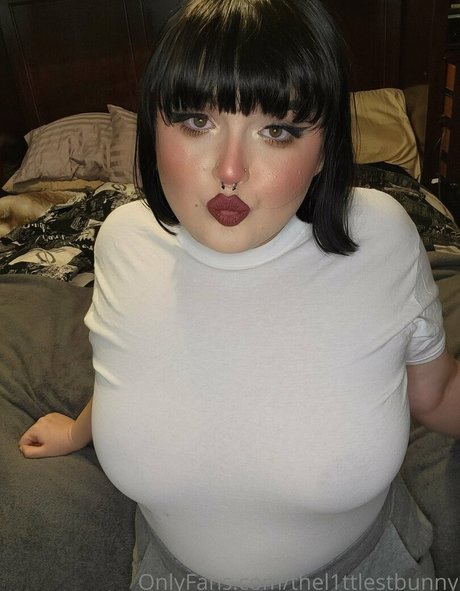 thel1ttlestbunny onlyfans star