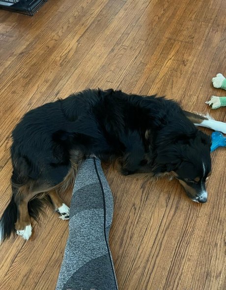 solegoddessap sexy onlyfans