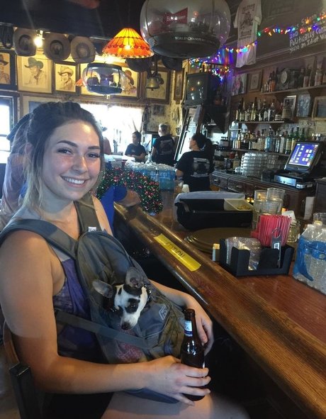 erinashfordofficial onlyfans pics