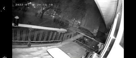 lavellkingentertainment onlyfans photos