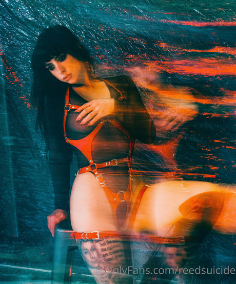 Reedsuicide free only fans