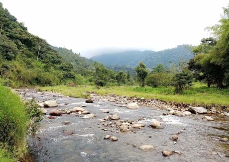 avliequeena leaked naked onlyfans